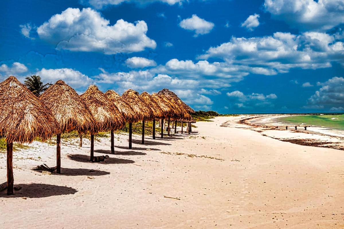 Hacienda Antigua Villa, 50M From Sandy Beach 埃尔库约 外观 照片